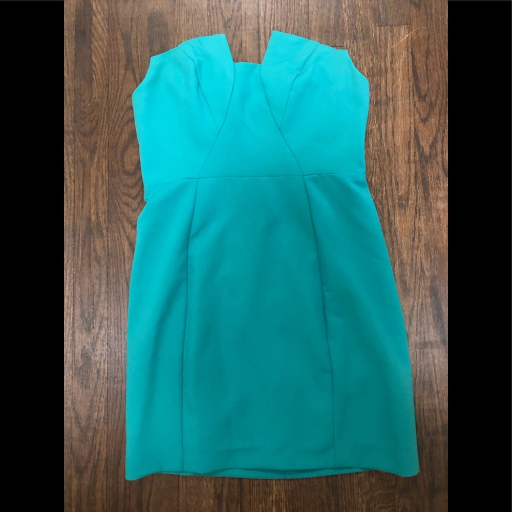 NWT Karlie dress